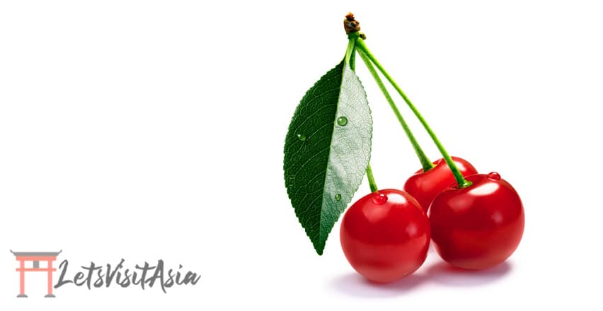 Montmorency tart cherry as the natural alternative to melatonin for travel to asia